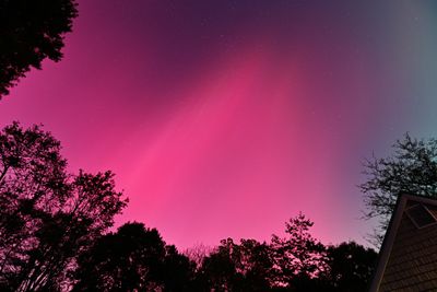 D85_3598_010.jpg
