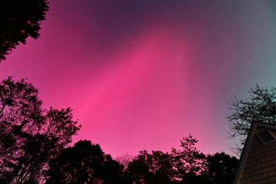 D85_3599_011.jpg