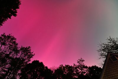 D85_3605_017.jpg