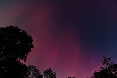 D85_3773_033.jpg