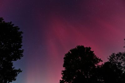 D85_3774_034.jpg