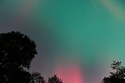 D85_3784_036.jpg