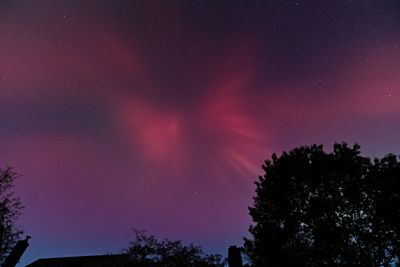 D85_3835_044.jpg