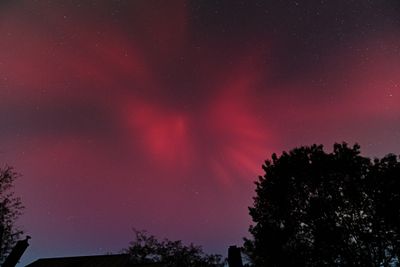D85_3837_045.jpg