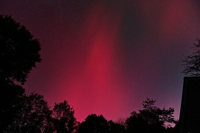 D85_3846_046.jpg