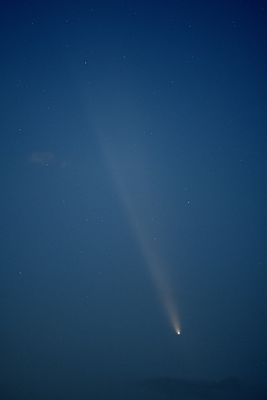 D85_4123_007.jpg