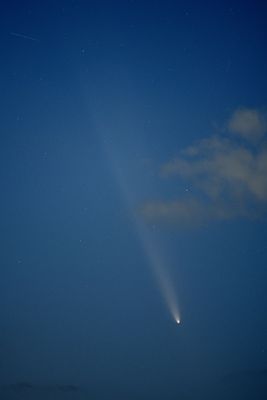 D85_4106_004.jpg