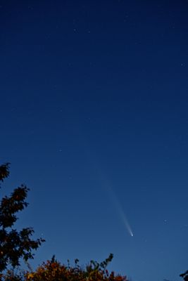 D85_4413_001s.jpg