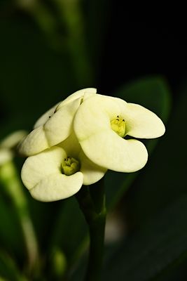 D85_4723_020s.jpg