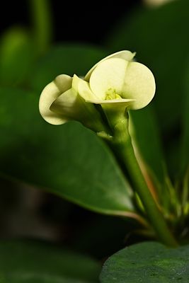 D85_4878_018s.jpg