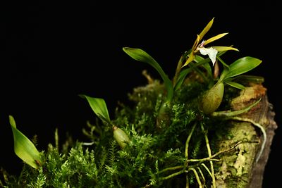 D85_5064_021s.jpg