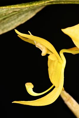 D85_5213_005s.jpg