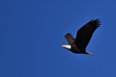 D85_6472_009s.jpg