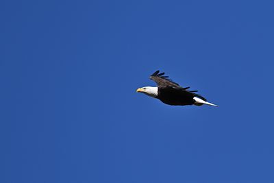 D85_6468_008s.jpg