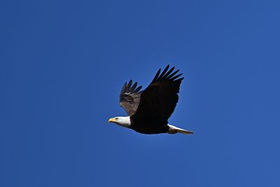 D85_6465_007s.jpg