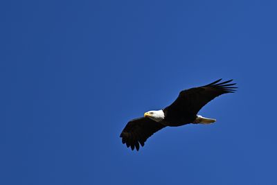 D85_6449_006s.jpg