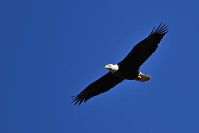 D85_6441_005s.jpg