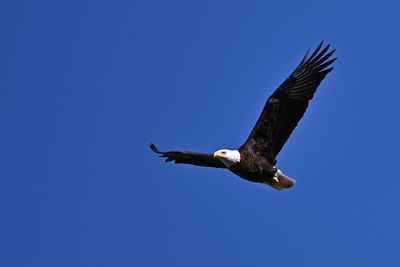 D85_6439_004s.jpg