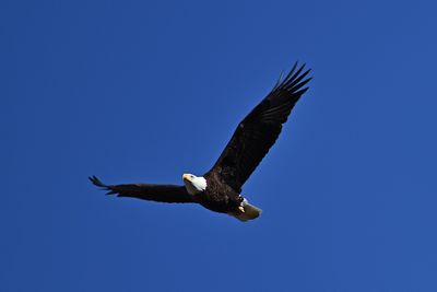 D85_6437_003s.jpg