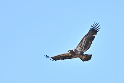 D85_6661_001s.jpg