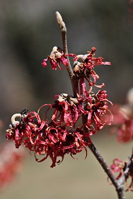 D85_6579_002s.jpg