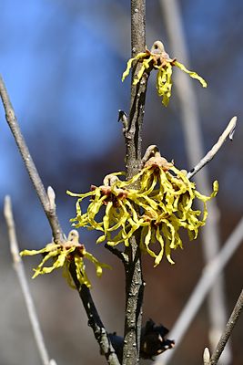 D85_6586_004s.jpg
