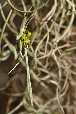 D85_6708_004s.jpg