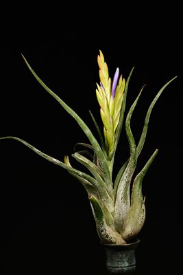 D85_6806_003s.jpg