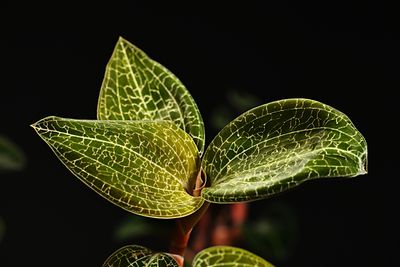 D85_7027_004s.jpg