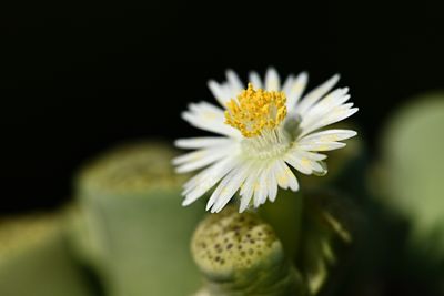 D85_7753_004s.jpg