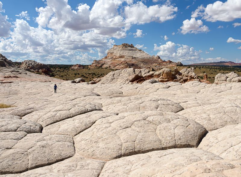 Alone at White Pocket