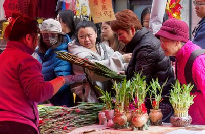 Flower Market Scene