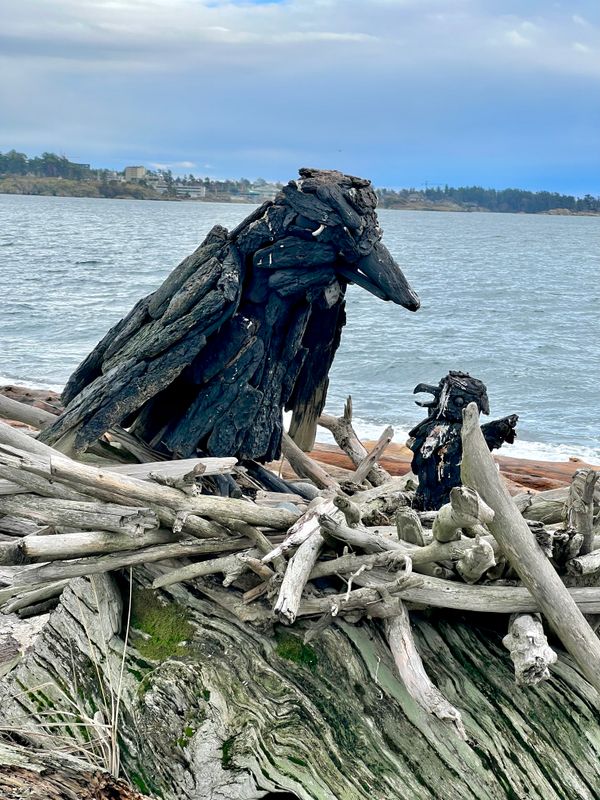 Driftwood Creations