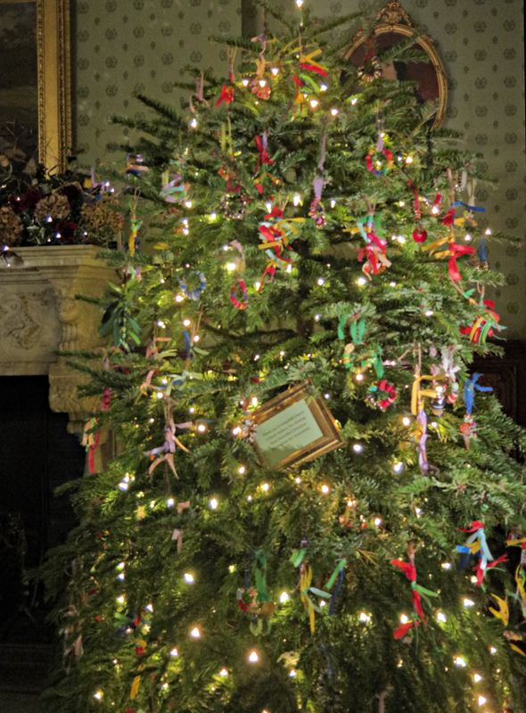 24-ChristmasTree.jpg