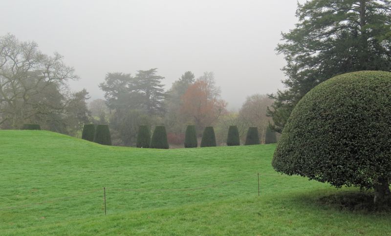 30-trees-mist.jpg
