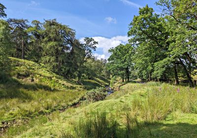 Wyre-valley-1.jpg