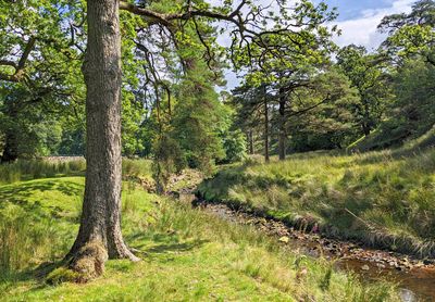 Wyre-valley-4.jpg