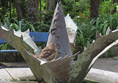 10 bird-bath fountain