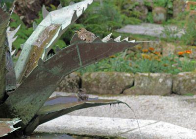 11 bird-bath fountain