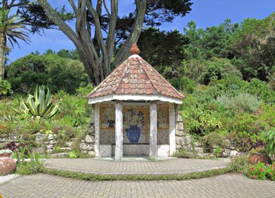 Tresco Abbey Gardens