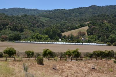 Rancho Scene