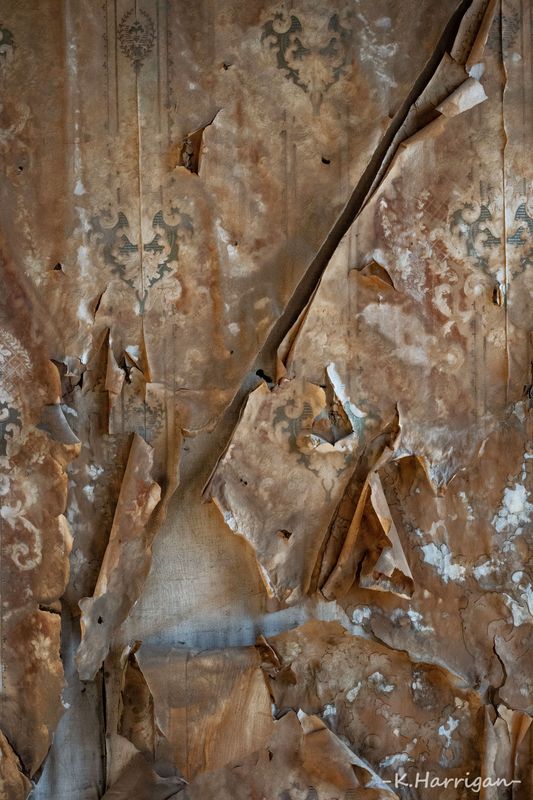 Wallpaper - L. Johl House