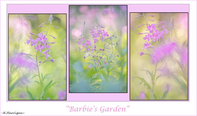 Barbies Garden
