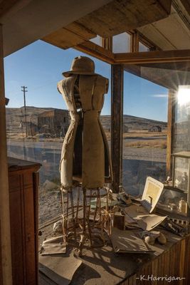 Mannequin with Sunlight