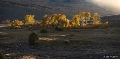 Autumn Ridgeline