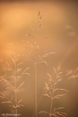 g13/90/1011190/3/173890879.4ebb86a3.JPEG