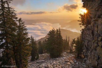 Morning Atmospherics - Donner Peak