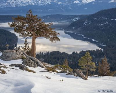 Winter Postcard