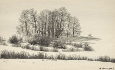 Winterscapes and Scenes