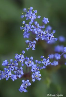 g13/90/1011190/3/174605748.6911a248.JPEG